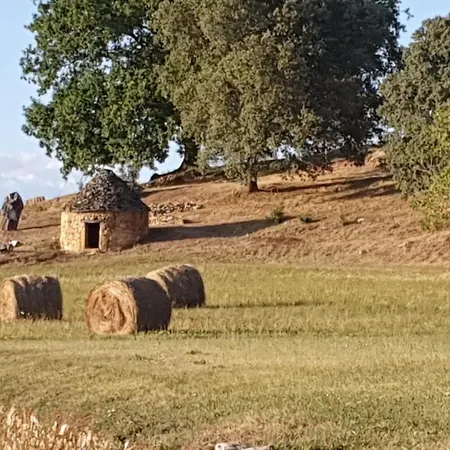 Salamandre 2 Proche De Sarlat De 1 A 5 Personnes 아파트