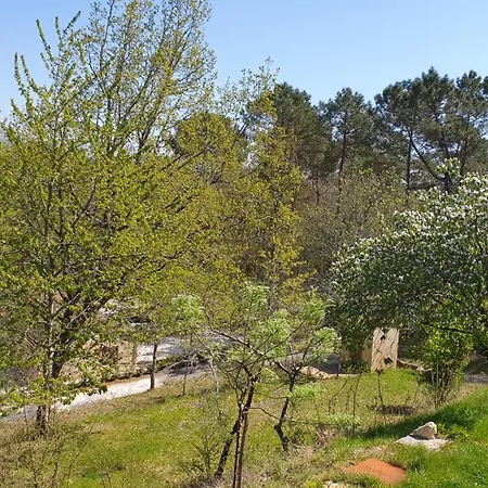 Apartment Salamandre 2 Proche De Sarlat De 1 A 5 Personnes Saint-Andre-d'Allas